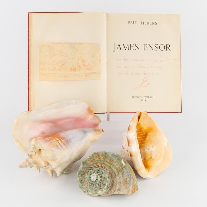 James Ensor - Tekening - Coquillages - met certificaat, Antiek en Kunst, Kunst | Schilderijen | Abstract, Ophalen