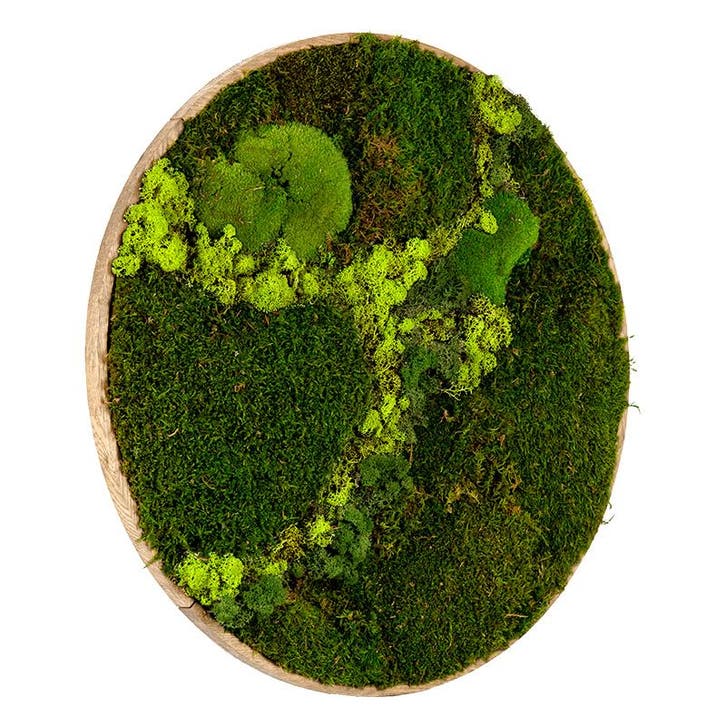 Mosschilderij Rond 100 cm Ongelakt Eiken - Svendborg Lentegr, Huis en Inrichting, Woonaccessoires | Lijsten, Verzenden