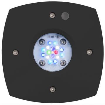 Aqua Illumination Prime 16HD zwart, Verzenden, Nieuw