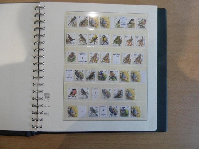 België - Verzameling Buzin met papiersoorten, variëteiten, Postzegels en Munten, Postzegels | Europa | België