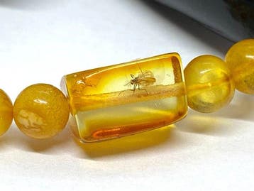 Natuurlijke Baltische Amber Ketting met een insect -