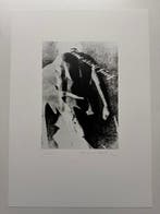 Christian Schad (1894-1982) - Die Auserwählte