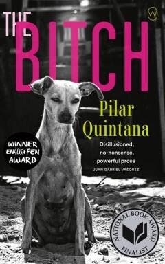 Quintana, P: Bitch 9781642860597 Pilar Quintana, Verzenden, Pilar Quintana