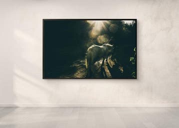Jorge Omeñaca - In a horse path