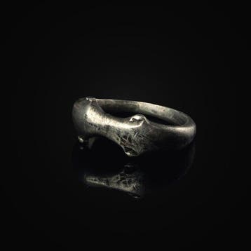 Oud-Romeins Ring Kissing Dolphins