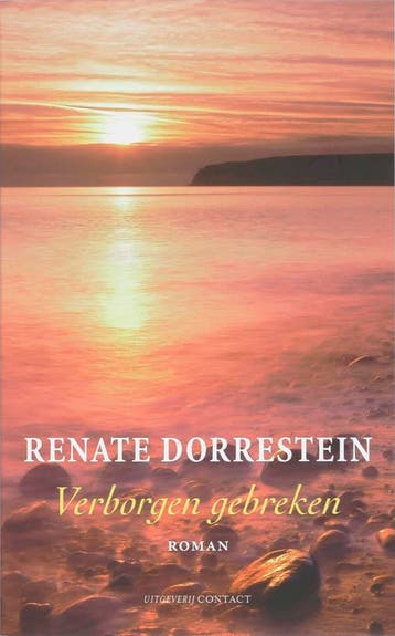 Verborgen gebreken 9789025427634 Renate Dorrestein, Verzenden, Gelezen, Renate Dorrestein