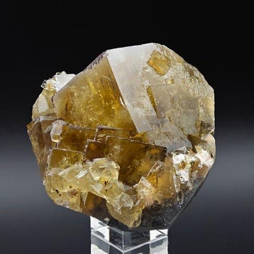 Fluorite jaune et miel, gros cubes esthétiques Cristaux sur