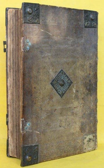 Biblia Germanica - Die Bibel Das ist: Alle Bücher der
