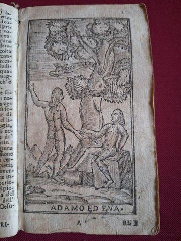 Rayaumont - Bibia sacra volgare riflessioni morali - 1747