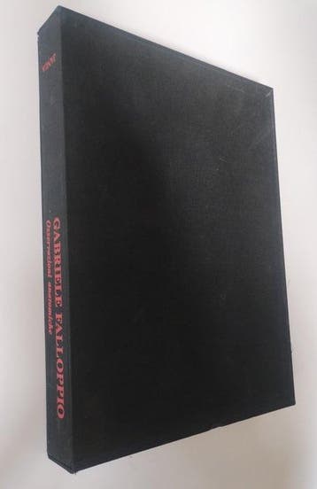 Gabriele Falloppio / Giovanni Valverde - Osservazioni
