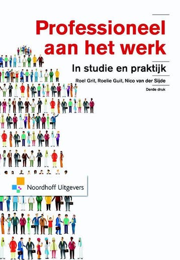 Professioneel aan het werk 9789001853303 Roel Grit, Boeken, Verzenden, Zo goed als nieuw, Roel Grit