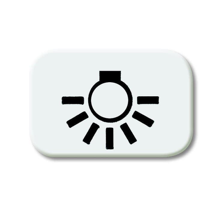 ABB Busch-Jaeger 2525 LI-214 Light Symbol R-Alpin White -, Doe-het-zelf en Bouw, Elektriciteit en Kabels, Verzenden