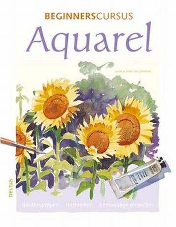 Beginnerscursus aquarel 9789044707168 M. Willenbrink, Verzenden, Gelezen, M. Willenbrink