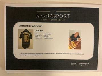 Inter Milan - Wereldkampioenschap Voetbal - Adriano -, Nieuw
