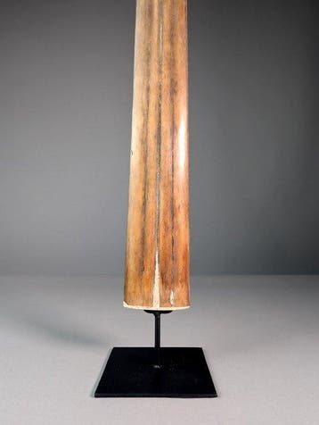 Zwaardvisrostrum Rostrum op een standaard - Xiphias gladius, Verzamelen, Nieuw