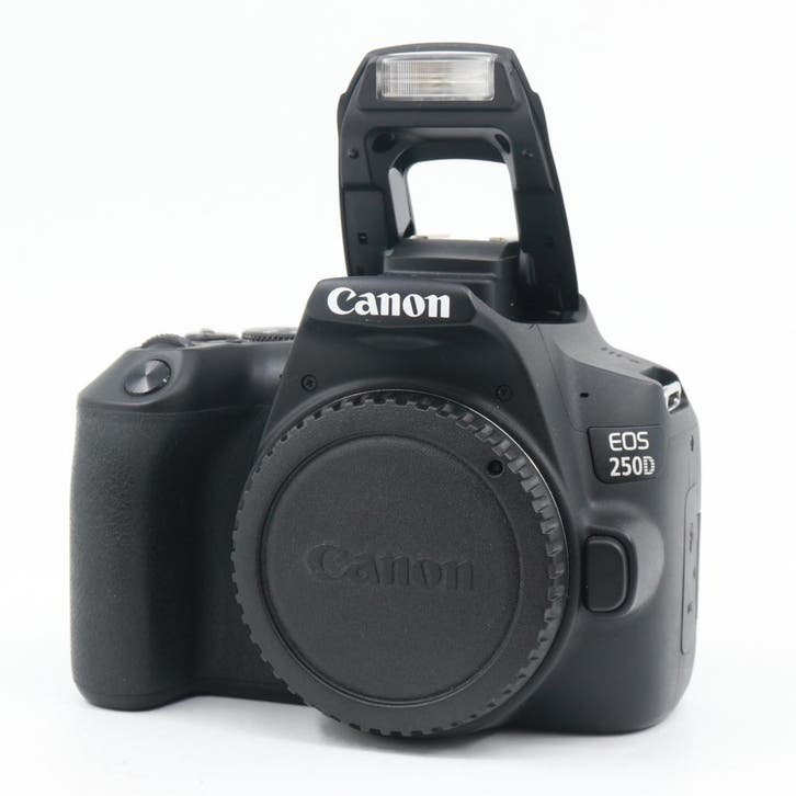 Canon EOS 250D body | Tweedehands, Audio, Tv en Foto, Fotocamera's Digitaal, Zo goed als nieuw, Canon, Verzenden