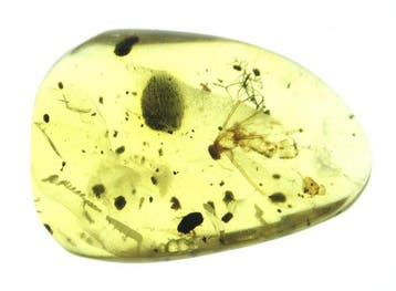 Birmese barnsteen - Barnsteen - 10 Burmese Amber Pieces with