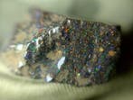 41,5 ct - Topkleuren - Honduras Black Opal Ruw- 8.3 g, Verzamelen