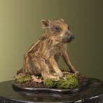 Wild Zwijn Jong Frisling Taxidermie Opgezette Dieren By Max, Ophalen of Verzenden, Opgezet dier