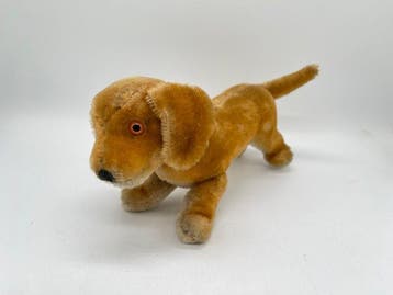 Steiff - Teddybeer Collection of Steiff dogs - 1950-1960 -