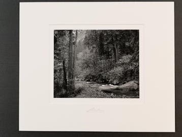 Ansel Adams (1902–1984) - Tenaya Creek, Dogwood, Rain