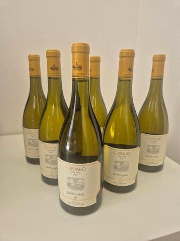 2024 Antinori, Cervaro della Sala - Umbrië - 6 Flessen (0.75, Verzamelen, Nieuw