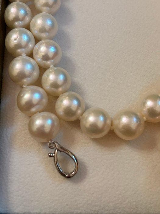 Sans prix de réserve - Collier Argent Perle - Perle, Bijoux, Sacs & Beauté, Colliers