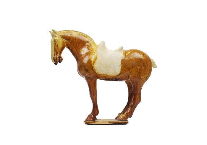 Oud Chinees, Tang-dynastie Terracotta Geglazuurd, Collections, Minéraux & Fossiles