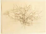 Alberto Giacometti (1901-1966) - Albero