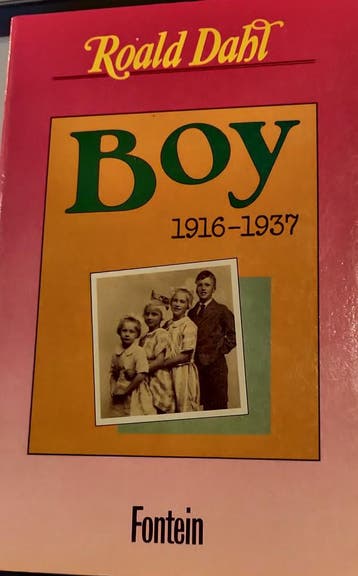Boy jeugdverhalen 9789026105104 Roald Dahl, Verzenden, Roald Dahl