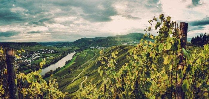 2008 Fritz Haag, Brauneberger Juffer Riesling - Moezel, Collections, Vins