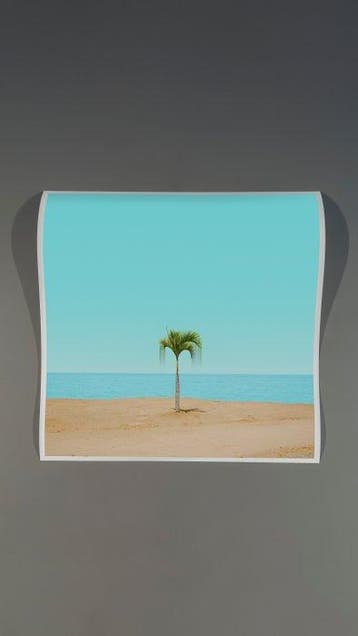 Téber - Melted Emotions · No Reserve