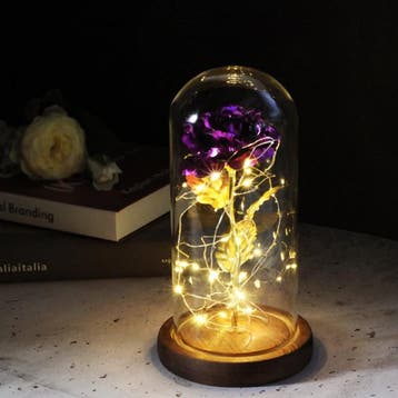 Kunst Roos in Glazen Stolp met Verlichting - Zijden Rozen, Verzenden