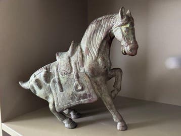 Dynastie paard rijk versierd zadelkleed met Reliëf