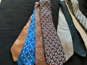 Themacollectie - Collectie van 12 designer stropdassen voor