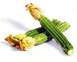 Costata Romanesco Courgette, Nieuw