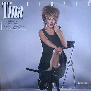 Tina Turner - Private Dancer, Verzenden, Gebruikt
