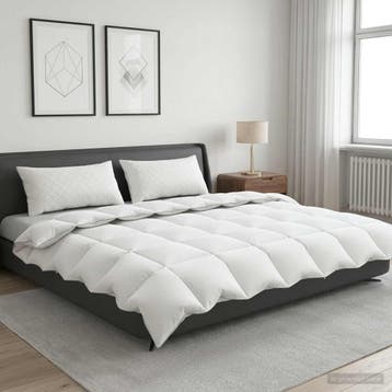 vidaXL 90% Ganzendons Deken Set FULDA 3 st 240 x 260 cm, Verzenden