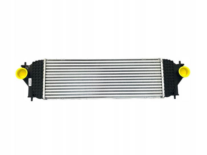 Intercooler Suzuki Grand Vitara 1.9D 1362067J02, Autos : Pièces & Accessoires, Climatisation & Chauffage, Envoi