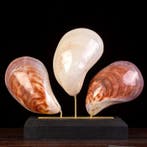 Mother-of-Pearl Trinity – Triptyque – Coquillages japonais -