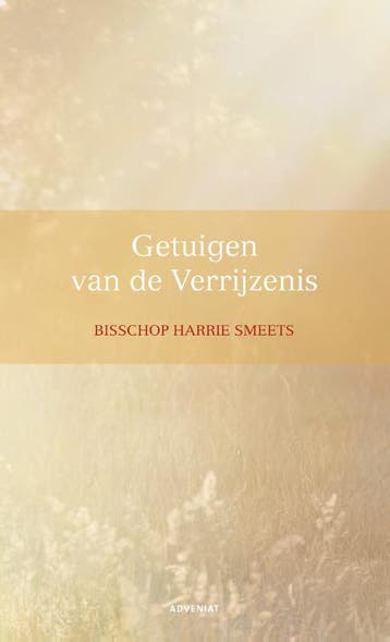 Getuigen van de verrijzenis 9789493279070 Harrie Smeets, Boeken, Verzenden, Gelezen, Harrie Smeets