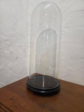 Globe - stolp - glas - 1901-1920 - Grote Antieke Ronde stolp, Antiek en Kunst