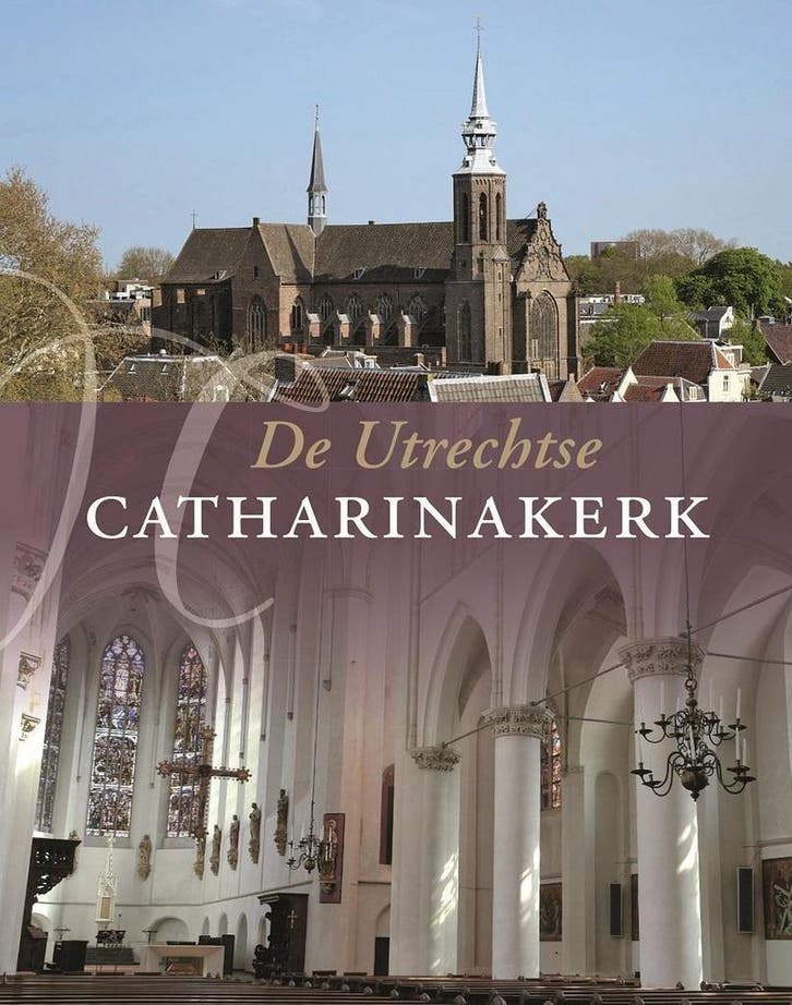 De Utrechtse Catharinakerk 9789053455661 Ton Meijers, Boeken, Geschiedenis | Wereld, Zo goed als nieuw, Verzenden
