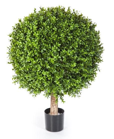 Kunstplant Buxus Plastic 60 cm, Maison & Meubles, Plantes d'intérieur, Envoi
