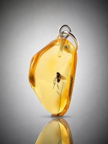 Museum-kwaliteit Baltisch amber hanger – zeldzame