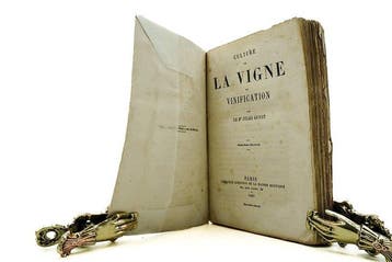 Jules Guyot - Culture de la vigne et vinification - 1861