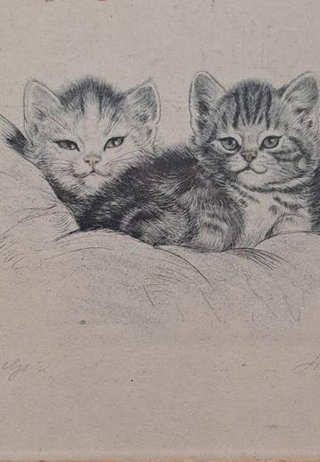 Meta Plückebaum (1876 - 1945) - Katzen