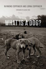 What Is a Dog? 9780226127941 Raymond Coppinger, Verzenden, Raymond Coppinger