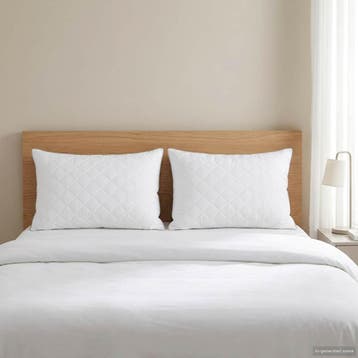 vidaXL Hoofdkussen FULDA 2 st 60 x 70 cm 100% Ganzendons en, Verzenden, Nieuw
