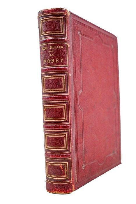 Eugène Muller / Collectif - La forêt, son histoire, sa, Antiquités & Art, Antiquités | Livres & Manuscrits